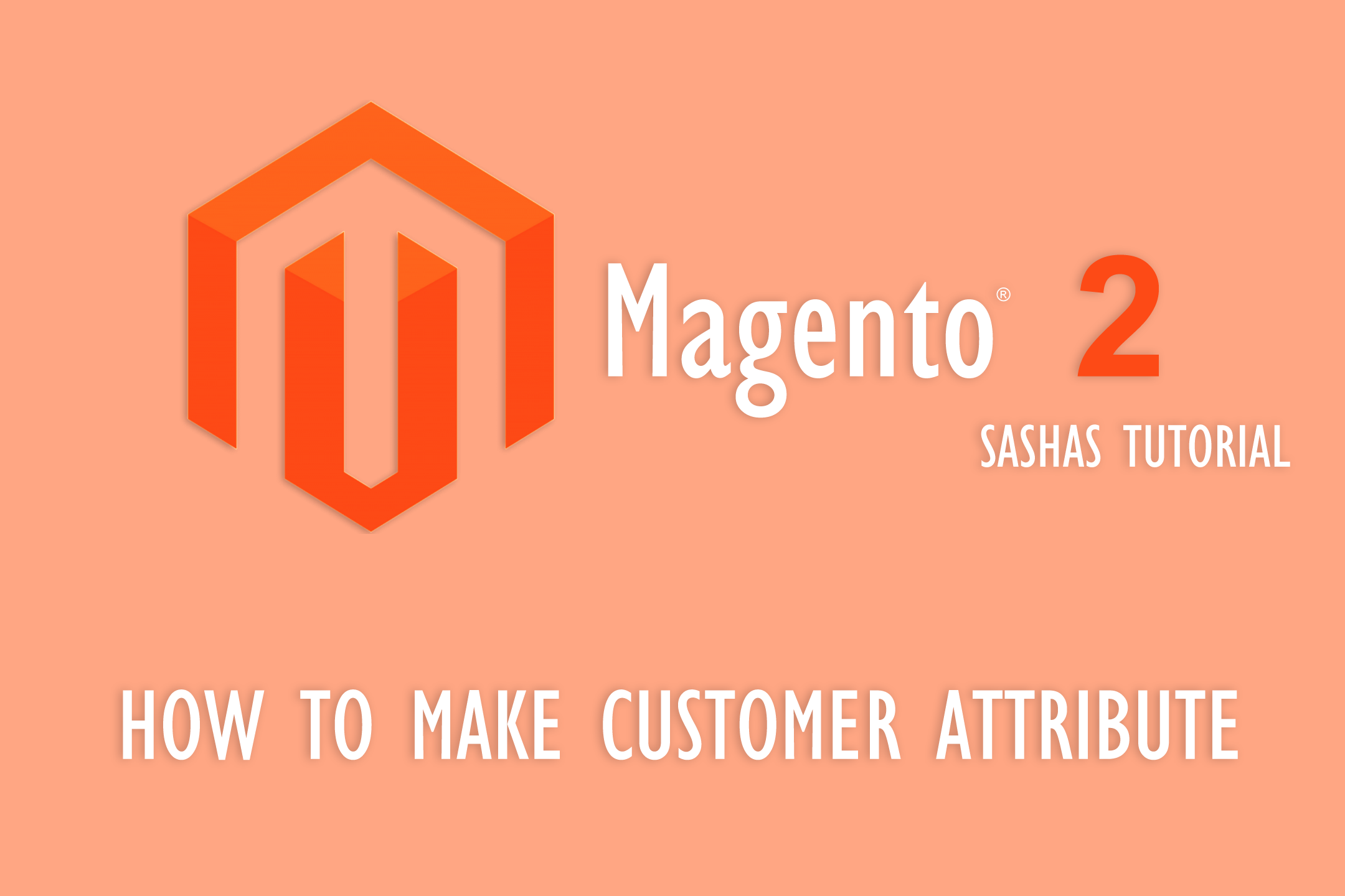 Magento 2 How to make customer attribute