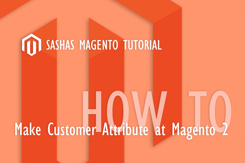 Magento 2 How To Make Customer Attribute